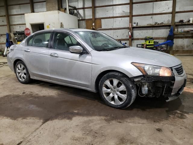 2010 Honda Accord EXL