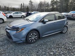 Toyota salvage cars for sale: 2022 Toyota Corolla