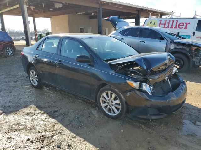 2010 Toyota Corolla Base