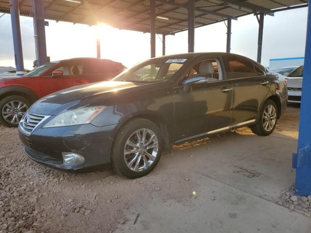 2010 Lexus ES 350