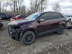 Salvage cars for sale at Cicero, IN auction: 2011 KIA Sorento EX