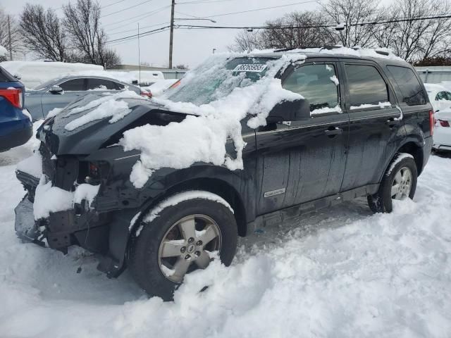 2008 Ford Escape XLT