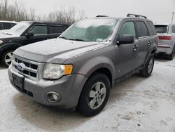 Ford Vehiculos salvage en venta: 2011 Ford Escape XLT