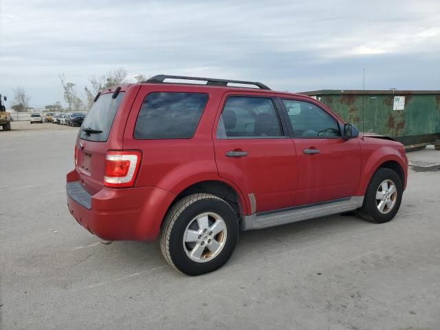 2010 Ford Escape XLS