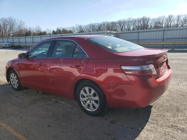 2008 Toyota Camry Hybrid