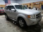 2008 Ford Escape Limited