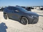 2023 Lexus NX 350H