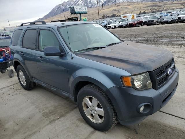 2012 Ford Escape XLT