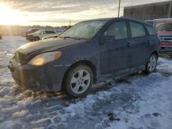 2006 Toyota Corolla Matrix XR en venta en Fredericksburg, VA