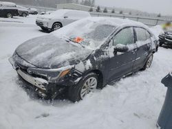 Salvage cars for sale at Windham, ME auction: 2024 Toyota Corolla LE