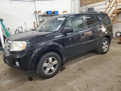 Salvage cars for sale at Ham Lake, MN auction: 2011 Honda Pilot EXL