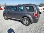 2009 Ford Escape XLS