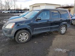 Honda crv Vehiculos salvage en venta: 2006 Honda CR-V EX