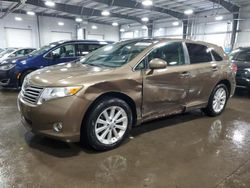 Toyota salvage cars for sale: 2010 Toyota Venza