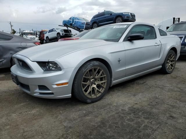 2013 Ford Mustang