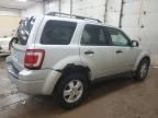 2008 Ford Escape XLT