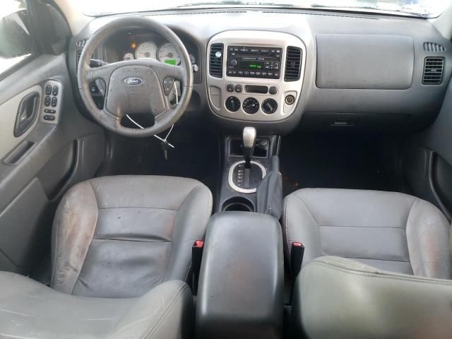 2006 Ford Escape XLT