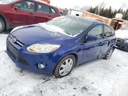 Ford Focus salvage cars for sale: 2012 Ford Focus SE