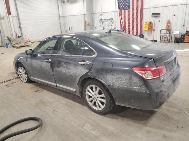 2010 Lexus ES 350