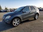 2010 Mercedes-Benz ML 350