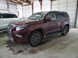 Vehiculos salvage en venta de Copart Lexington, KY: 2022 Lexus GX 460 Luxury