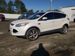 Salvage cars for sale from Copart Seaford, DE: 2013 Ford Escape Titanium