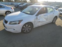 Honda Accord salvage cars for sale: 2009 Honda Accord EXL