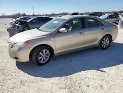 Toyota salvage cars for sale: 2007 Toyota Camry CE