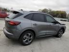 2024 Ford Escape ST Line