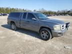 2011 Dodge Dakota SLT