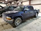 2004 Dodge Dakota Quad SLT