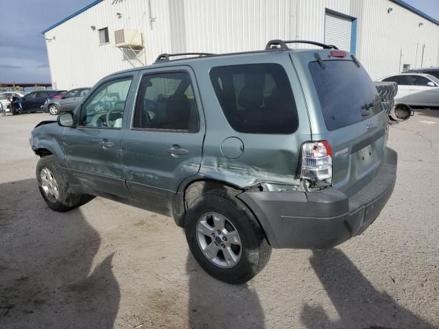 2007 Ford Escape XLT