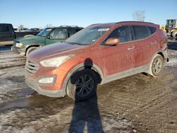 Salvage cars for sale at Kansas City, KS auction: 2014 Hyundai Santa FE Sport