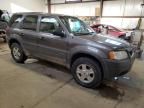 2002 Ford Escape XLT