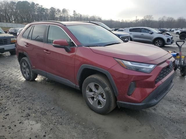 2022 Toyota Rav4 XLE