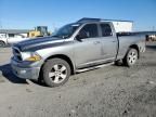 2009 Dodge RAM 1500