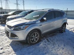 Salvage Cars with No Bids Yet For Sale at auction: 2014 Ford Escape Titanium