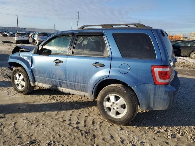 2010 Ford Escape XLT