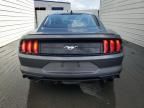 2023 Ford Mustang