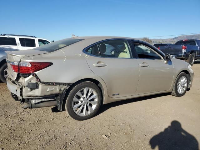 2014 Lexus ES 300H