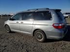 2006 Honda Odyssey EXL