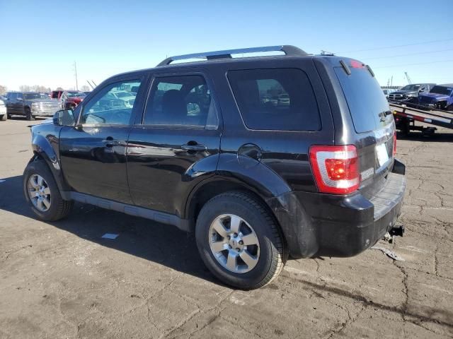 2011 Ford Escape Limited