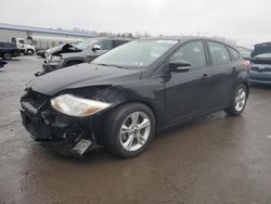 Ford Focus se salvage cars for sale: 2013 Ford Focus SE