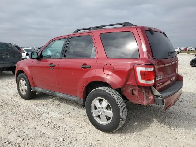 2011 Ford Escape XLT