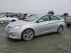 2013 Hyundai Sonata SE en venta en Antelope, CA