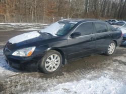 Salvage cars for sale at Baltimore, MD auction: 2007 Honda Accord EX