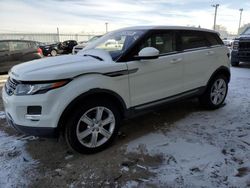 Salvage cars for sale at Dyer, IN auction: 2014 Land Rover Range Rover Evoque Pure Plus