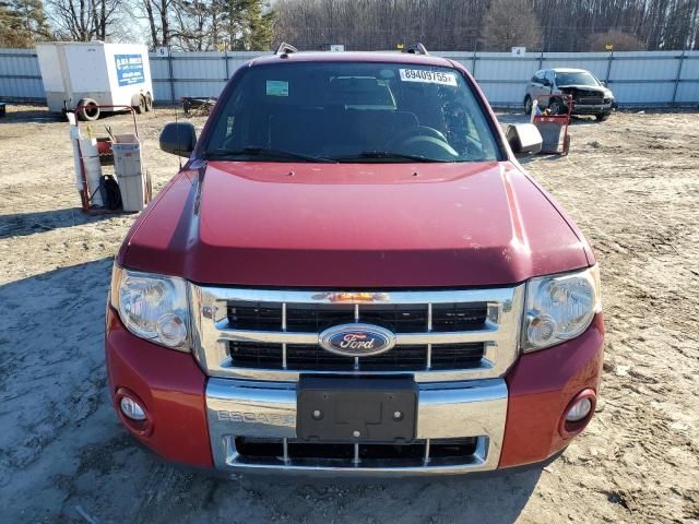 2011 Ford Escape XLT