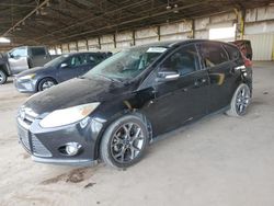 Salvage cars for sale at Phoenix, AZ auction: 2013 Ford Focus SE