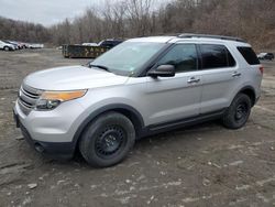 Ford Vehiculos salvage en venta: 2013 Ford Explorer